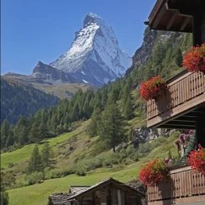 Meet your Posher, Victoria